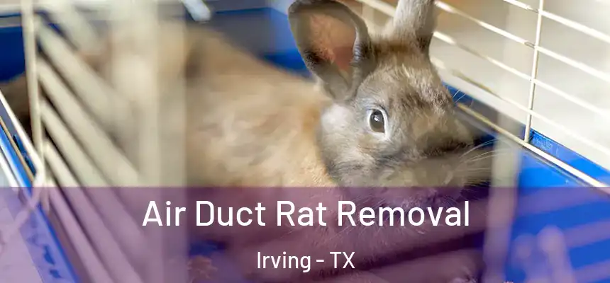 Air Duct Rat Removal Irving - TX