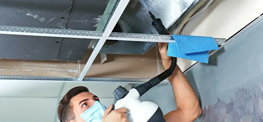 Our Air Duct Rodent Removal Services in Irving, TX