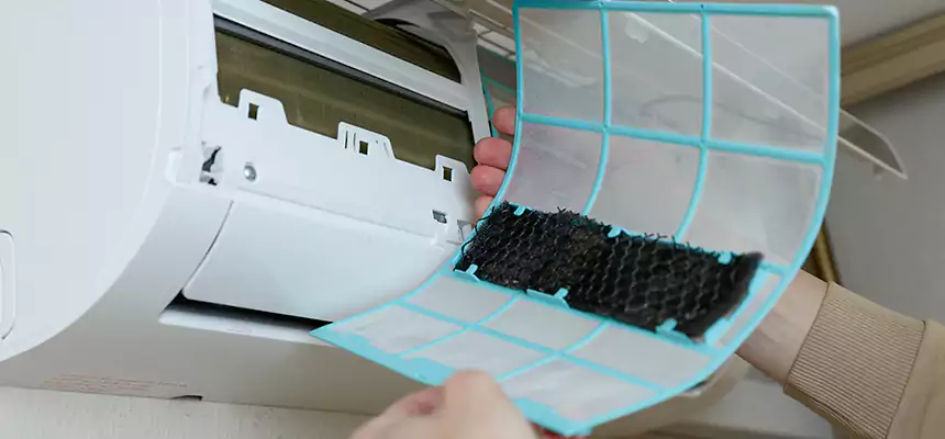 Gentle Ductwork Odor-Control Pet Dander Duct Cleaning in Irving, TX