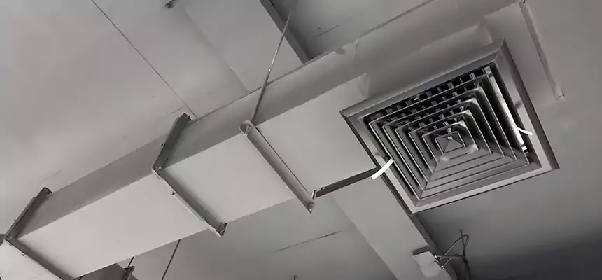 Our Rodent Droppings In Vents Services in Irving, TX