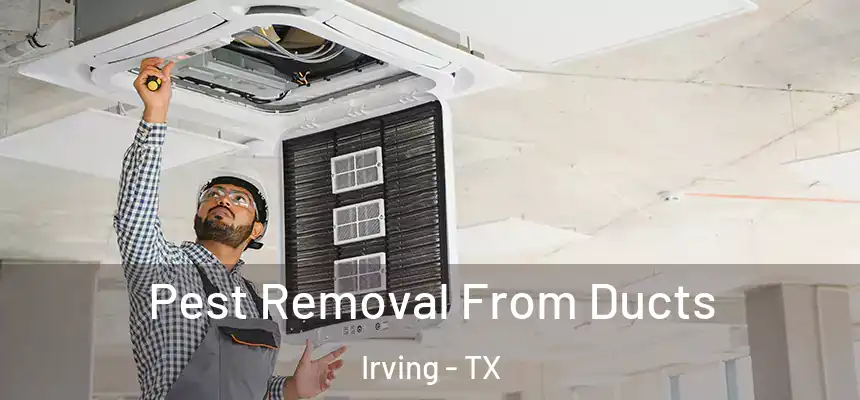 Pest Removal From Ducts Irving - TX