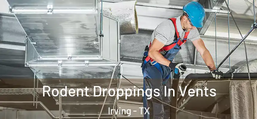 Rodent Droppings In Vents Irving - TX