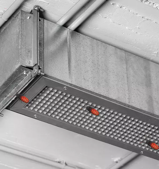 Affordable Insect Removal from Air Ducts in Irving, TX