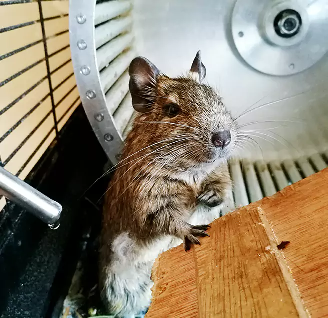 Why Homeowners & Businesses Trust Us Irving, TX?